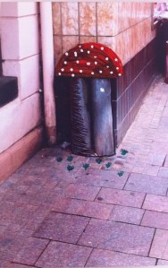 10464336_899631760053337_6869499546228328930_n