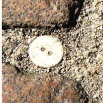 Farbe auf den zweiten Blick.